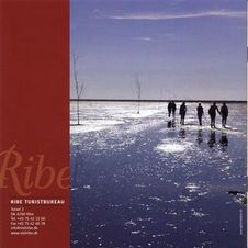 ribe-1-0002